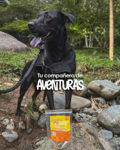 Perro entrenado con snacks deshidratados